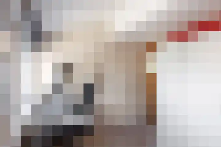 Veenweg 16 De Wilp thumbnail 32