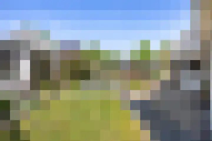 Veenweg 16 De Wilp thumbnail 37