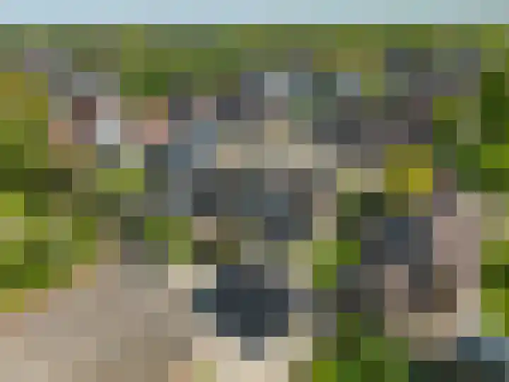 Veenweg 16 De Wilp thumbnail 41