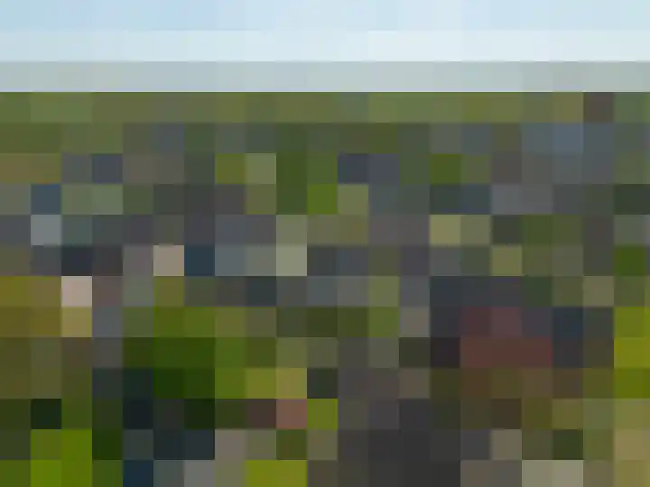 Veenweg 16 De Wilp thumbnail 42