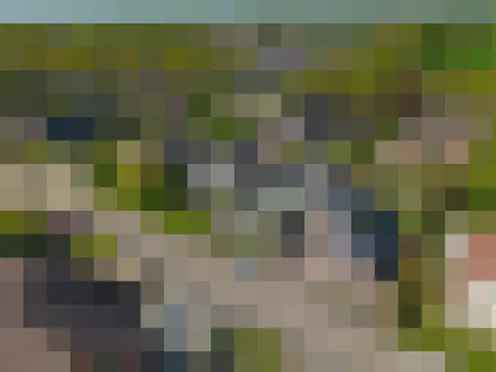 Veenweg 16 De Wilp thumbnail 43