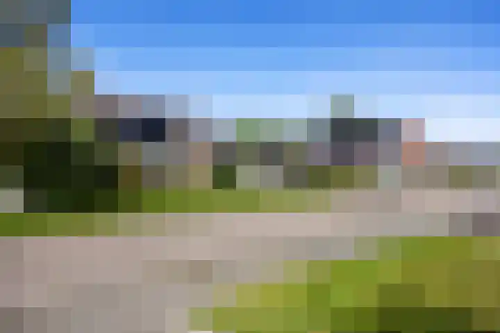 Veenweg 16 De Wilp thumbnail 5