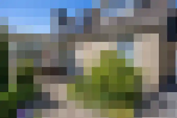Veenweg 16 De Wilp thumbnail 6