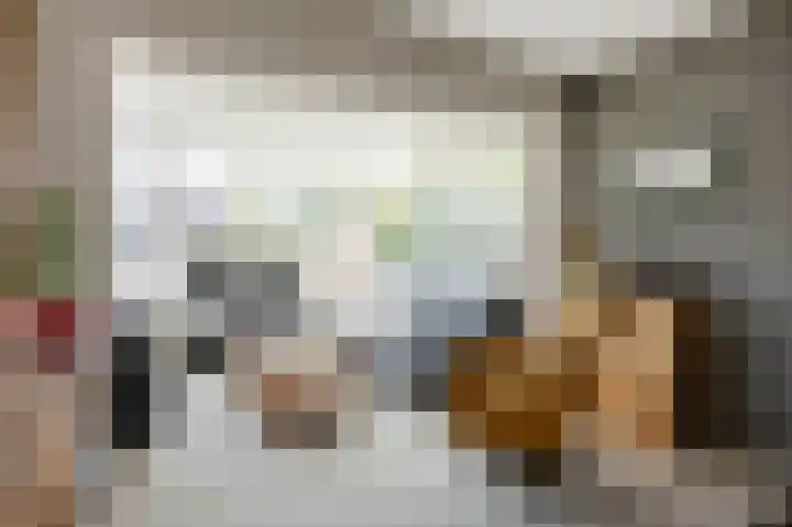 Veenweg 16 De Wilp thumbnail 9