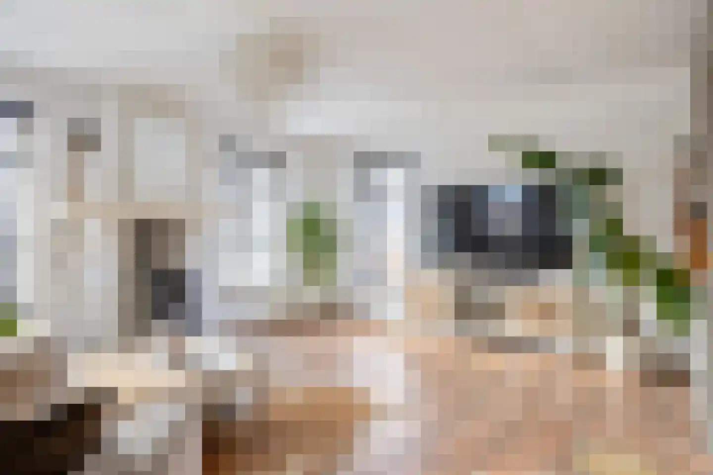 Veenweg 18 De Wilp thumbnail 24