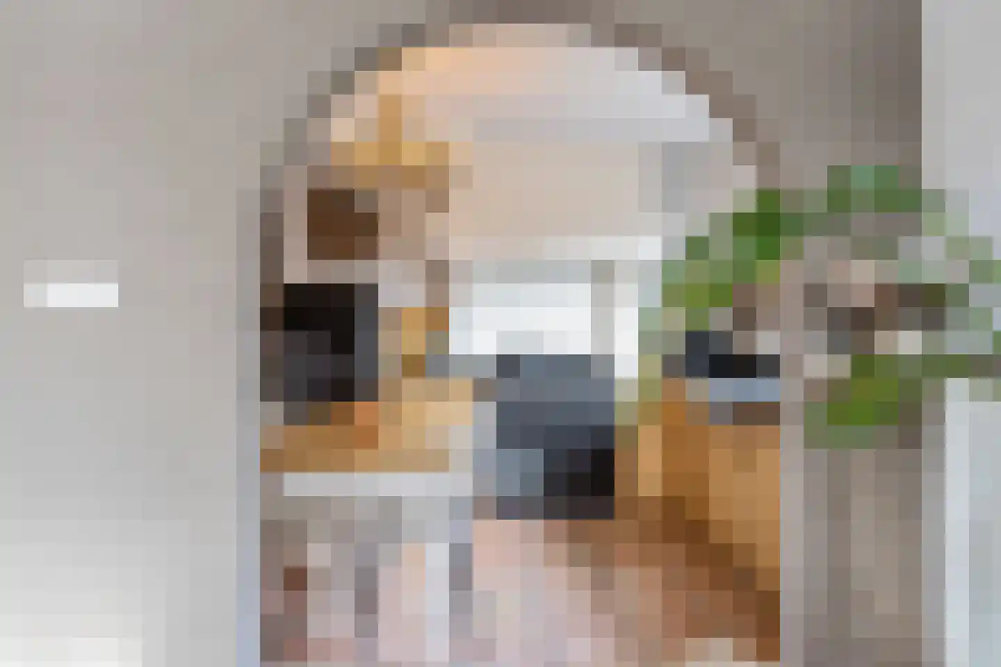 Veenweg 18 De Wilp thumbnail 27