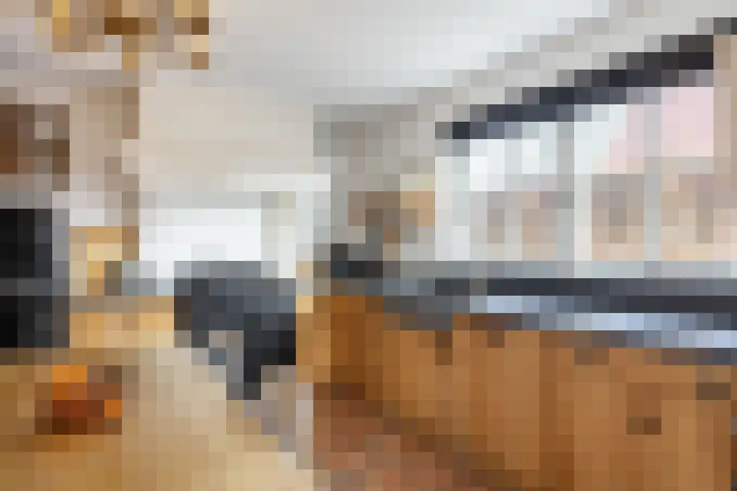 Veenweg 18 De Wilp thumbnail 28