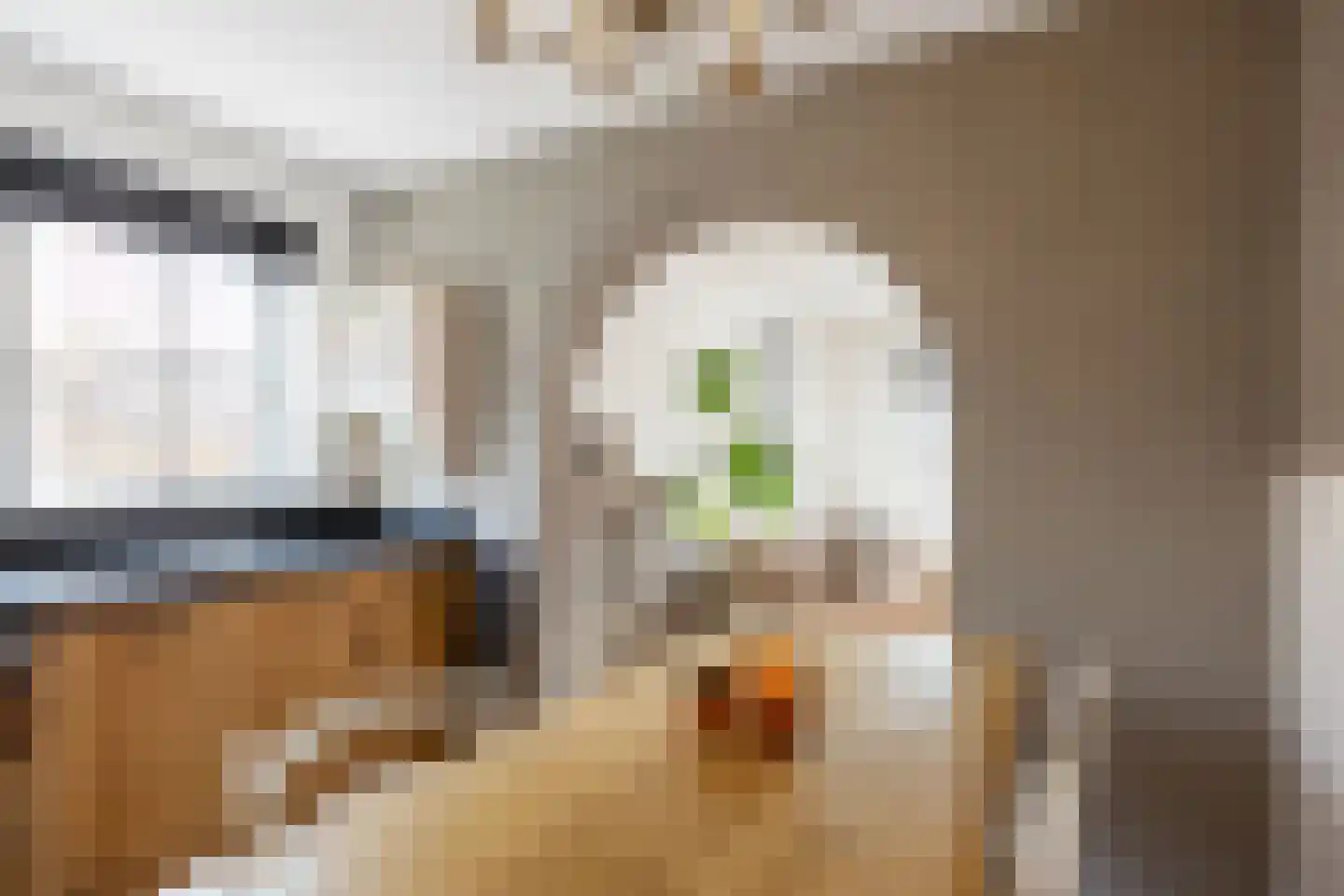 Veenweg 18 De Wilp thumbnail 33