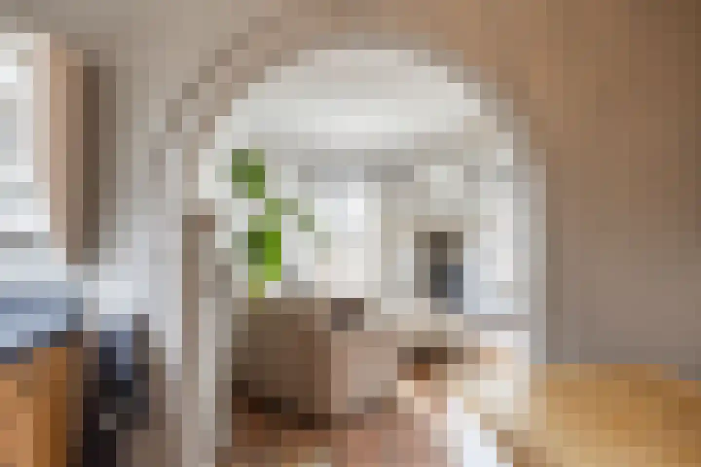 Veenweg 18 De Wilp thumbnail 34