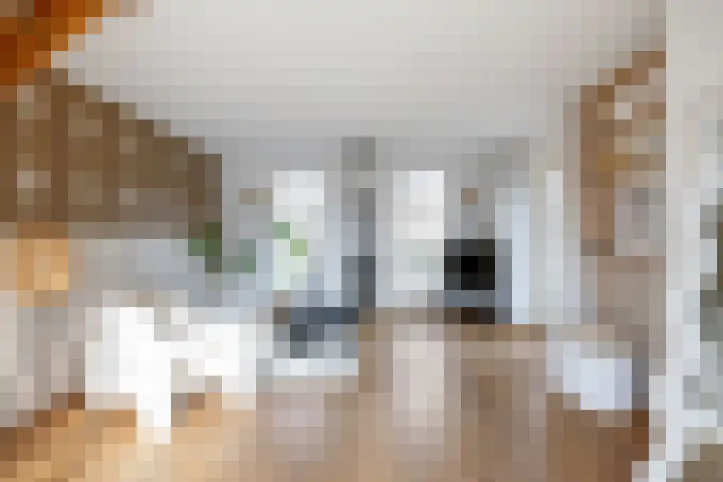 Veenweg 18 De Wilp thumbnail 35
