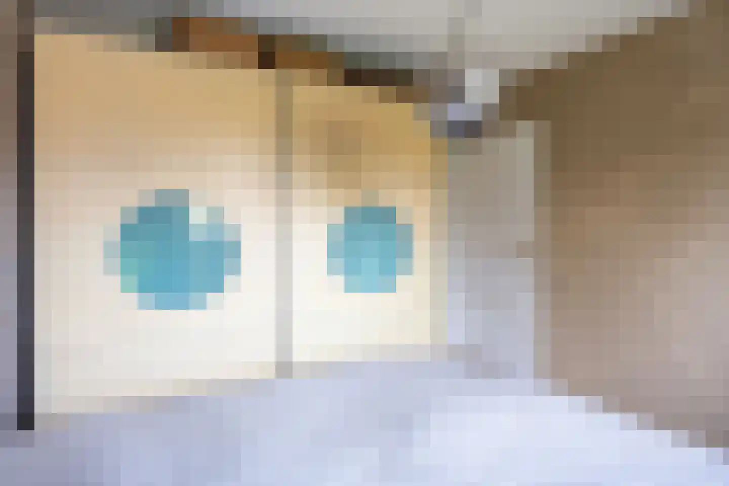 Veenweg 18 De Wilp thumbnail 40