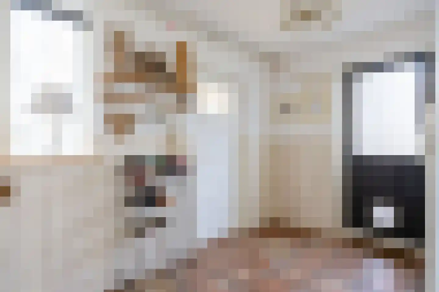 Veenweg 18 De Wilp thumbnail 41