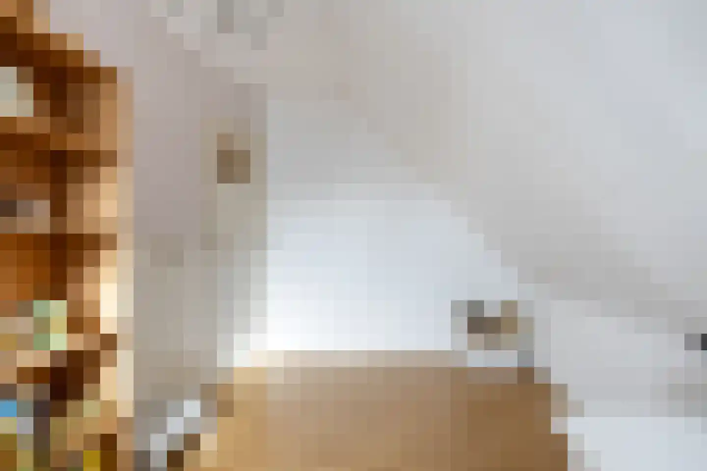 Veenweg 18 De Wilp thumbnail 49