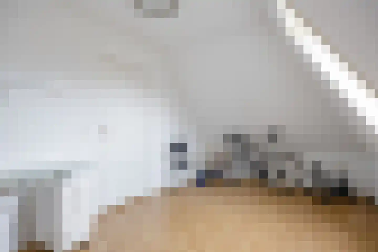 Veenweg 18 De Wilp thumbnail 51