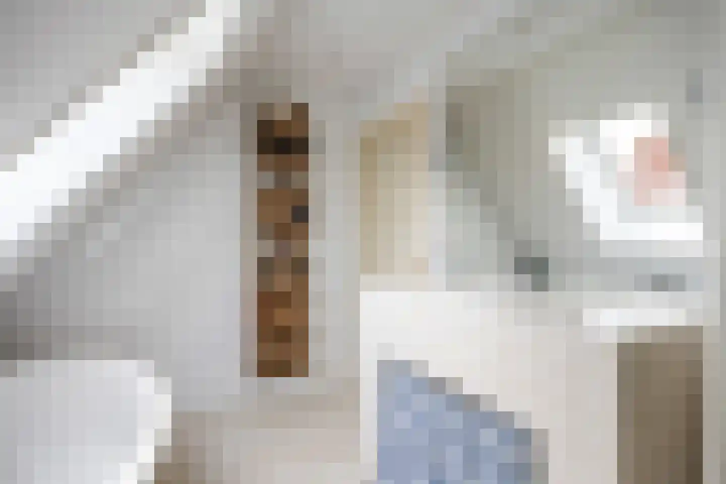 Veenweg 18 De Wilp thumbnail 54