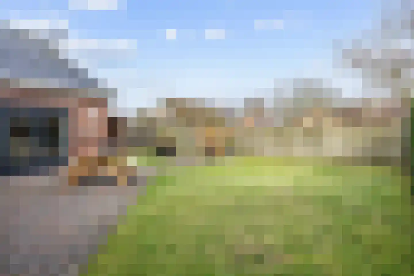 Veenweg 18 De Wilp thumbnail 58