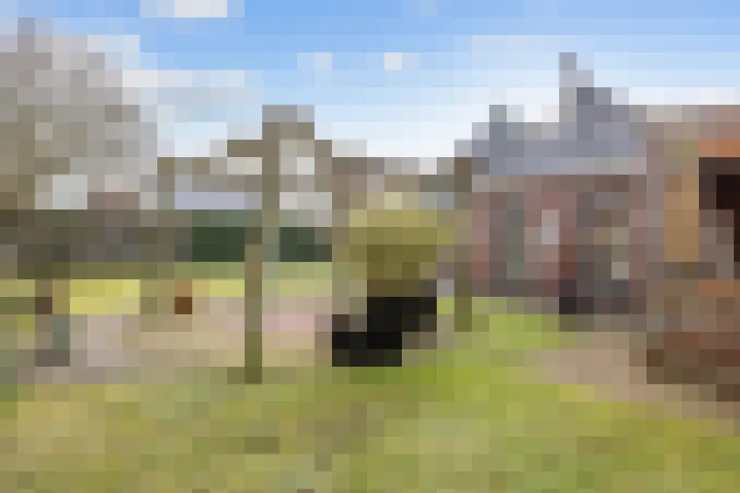 Veenweg 18 De Wilp thumbnail 61