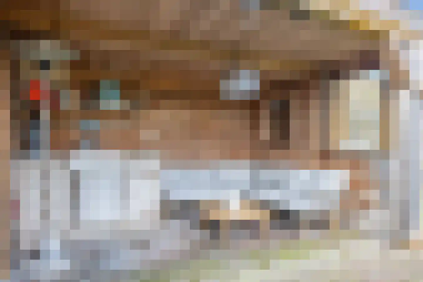 Veenweg 18 De Wilp thumbnail 62