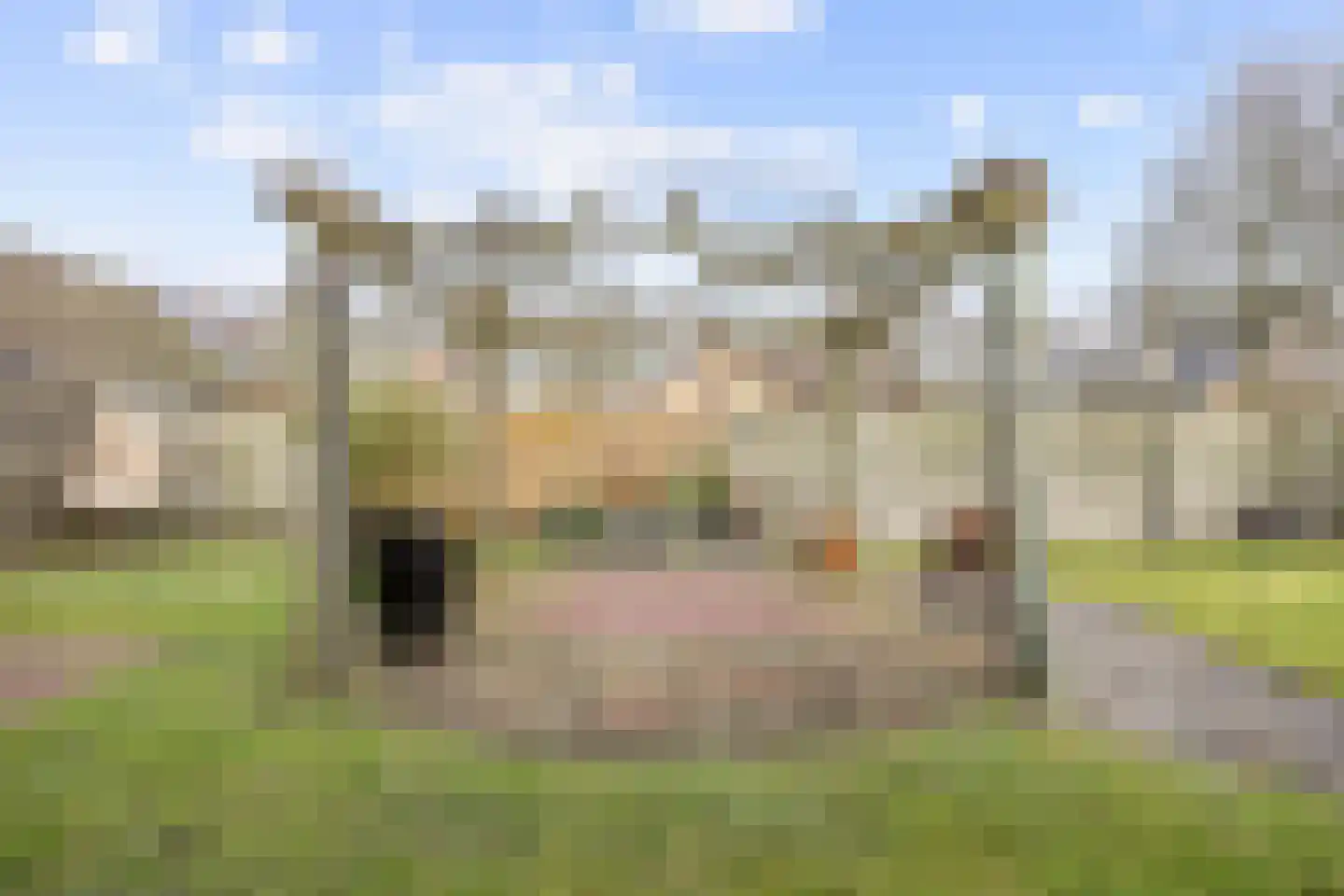 Veenweg 18 De Wilp thumbnail 64