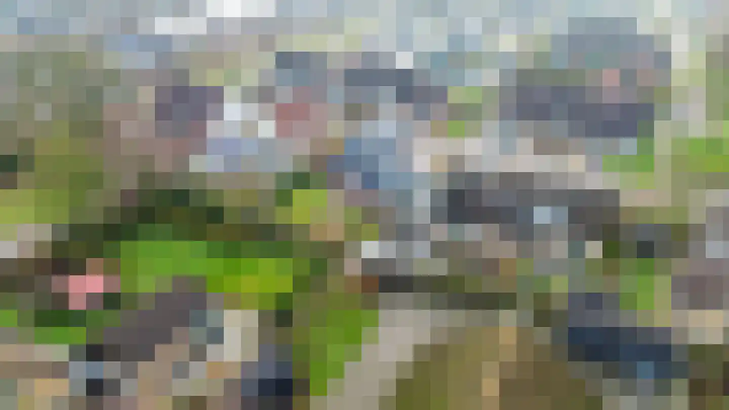Veenweg 18 De Wilp thumbnail 68
