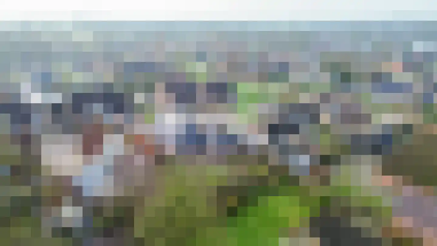 Veenweg 18 De Wilp thumbnail 69