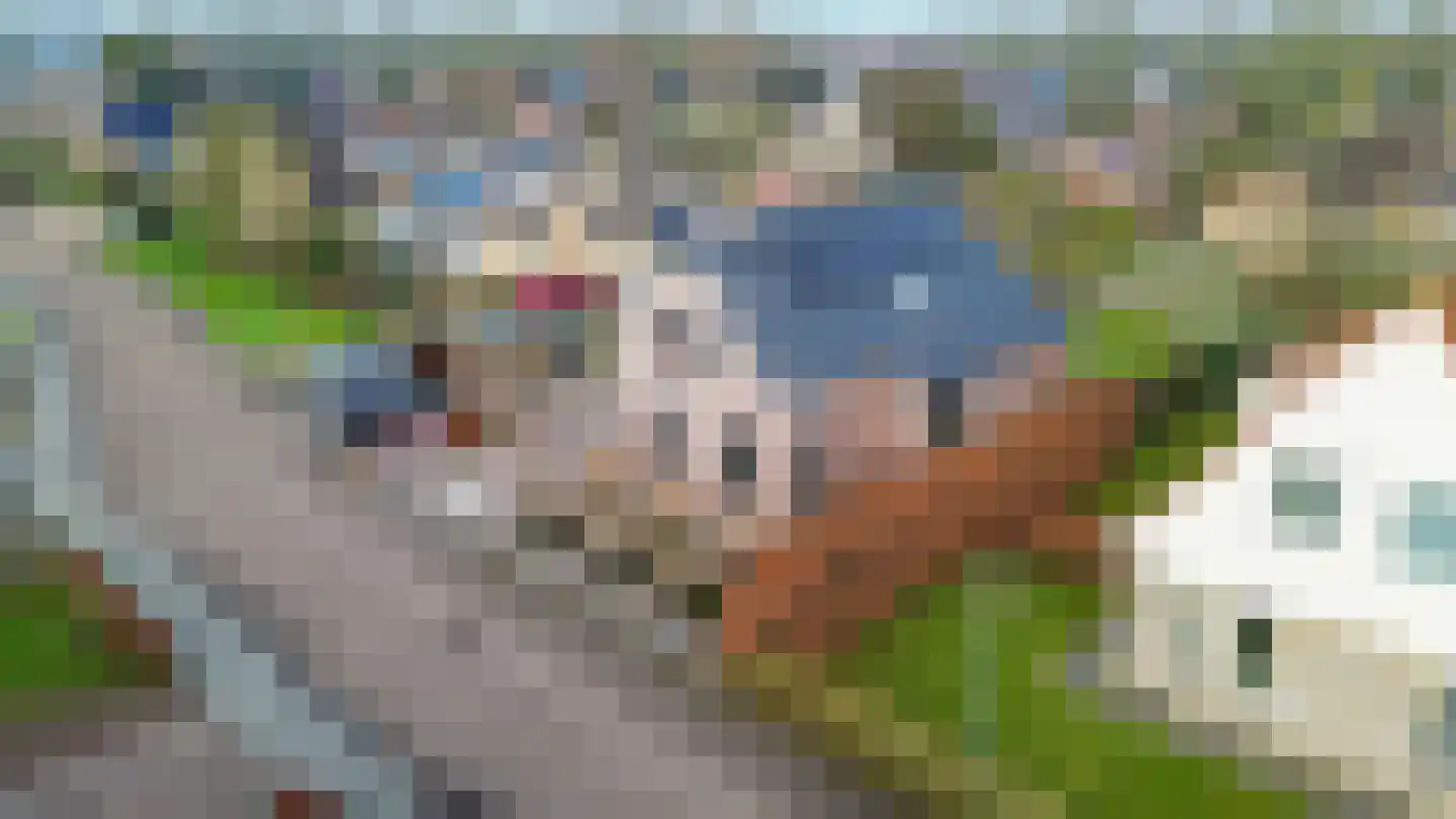 Veenweg 18 De Wilp thumbnail 9
