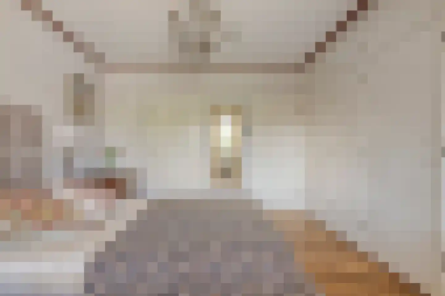 Veenweg 18 Lunteren thumbnail 21