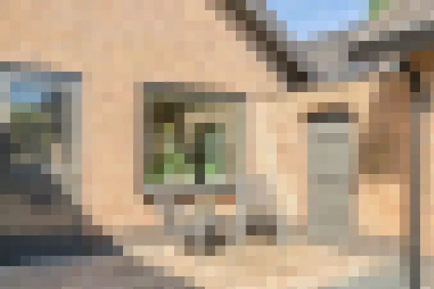 Veenweg 18 Lunteren thumbnail 37