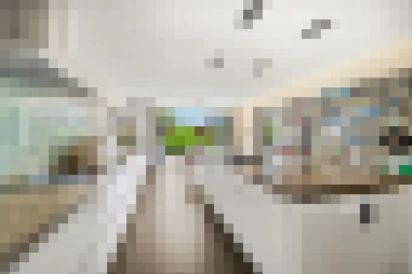 Veenweg 194 Den Haag thumbnail 25