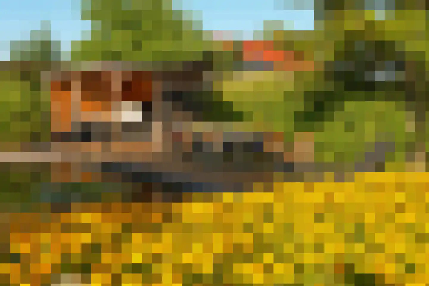 Veenweg 194 Den Haag thumbnail 7