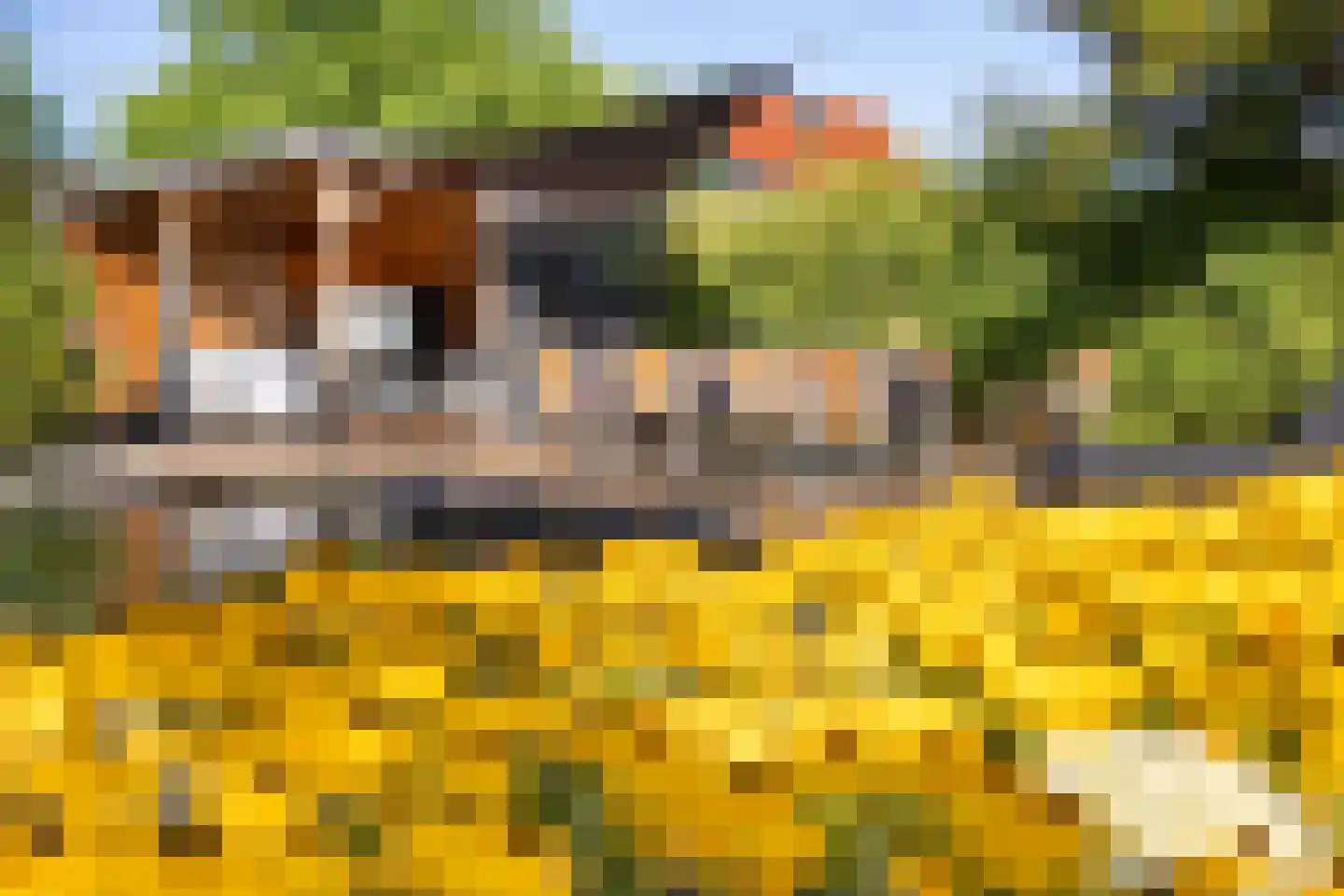 Veenweg 194 Den Haag thumbnail 73