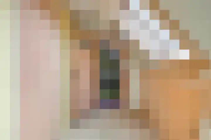 Veenweg 2 Finsterwolde thumbnail 28