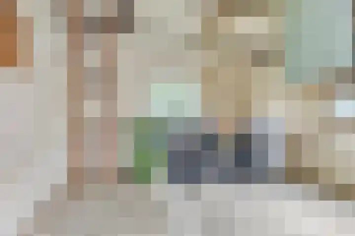 Veenweg 2 Finsterwolde thumbnail 30