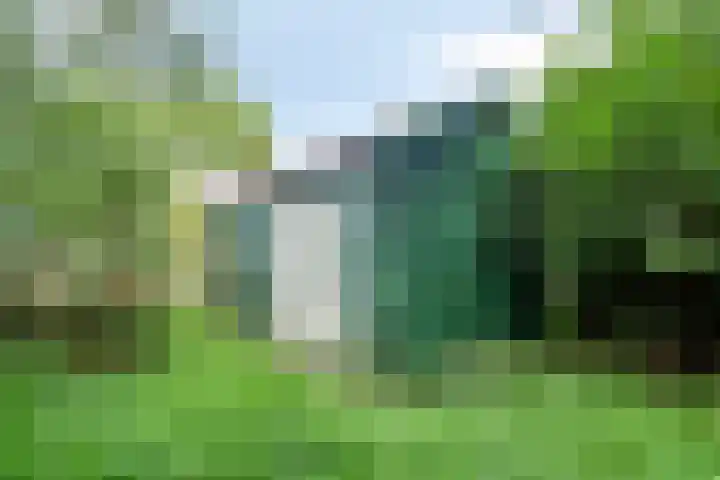 Veenweg 2 Finsterwolde thumbnail 35