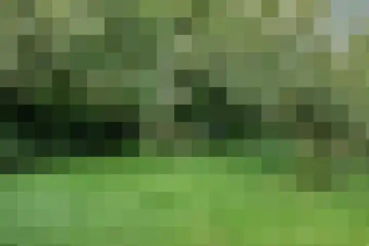 Veenweg 2 Finsterwolde thumbnail 36