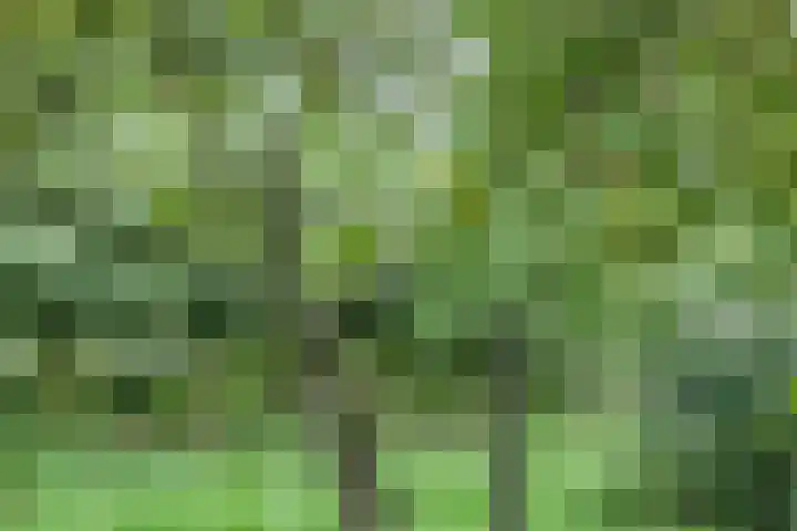 Veenweg 2 Finsterwolde thumbnail 37