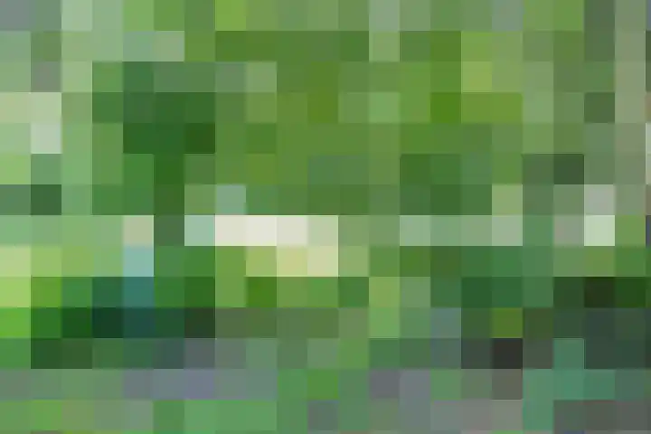 Veenweg 2 Finsterwolde thumbnail 38