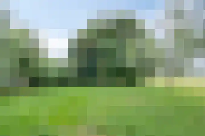 Veenweg 2 Finsterwolde thumbnail 39