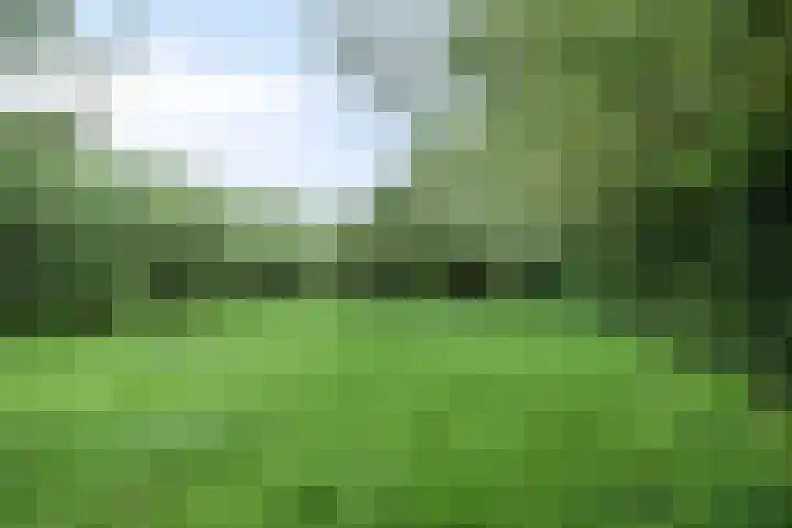 Veenweg 2 Finsterwolde thumbnail 4