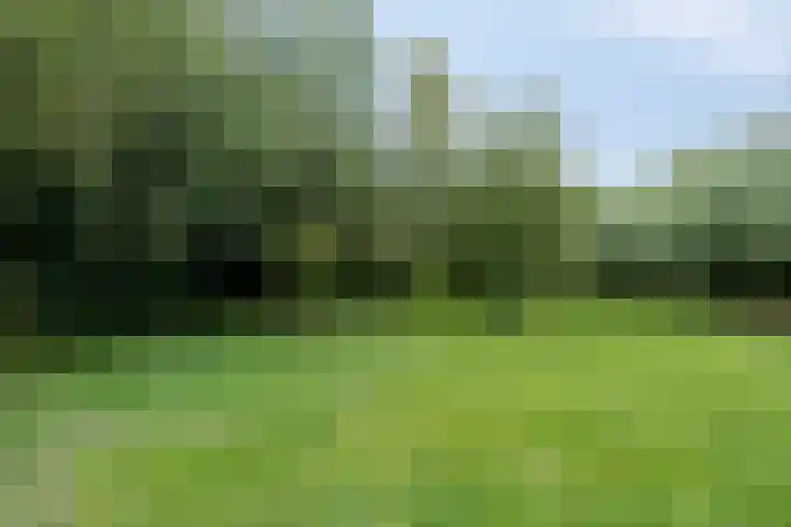 Veenweg 2 Finsterwolde thumbnail 40