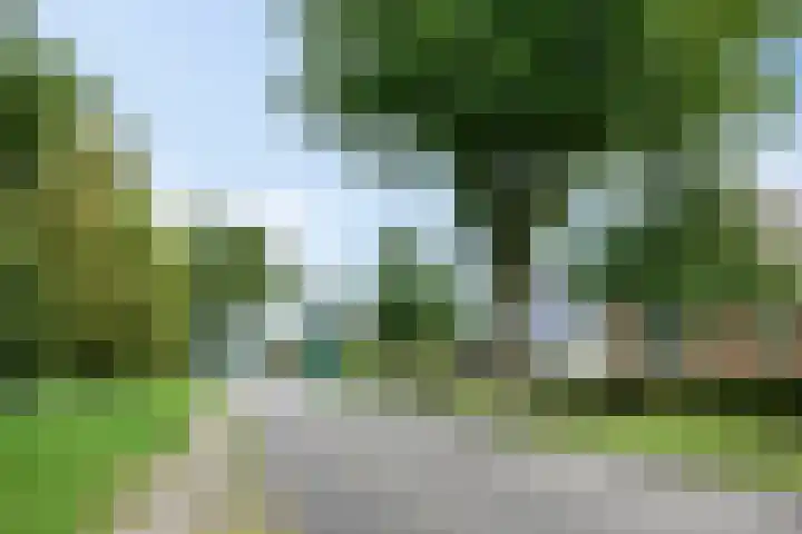 Veenweg 2 Finsterwolde thumbnail 41