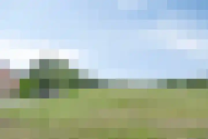 Veenweg 2 Finsterwolde thumbnail 43
