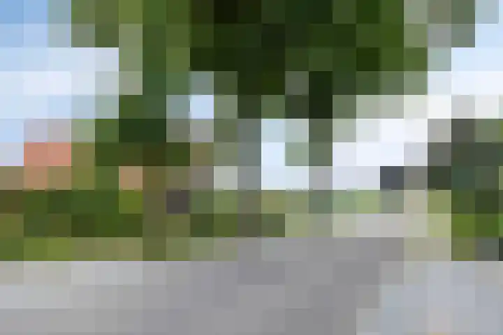 Veenweg 2 Finsterwolde thumbnail 9