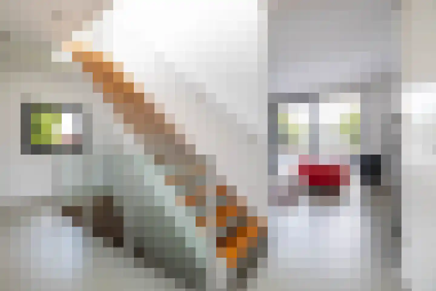 Veenweg 2 Groningen thumbnail 21