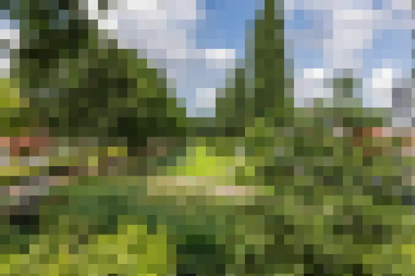 Veenweg 2 Groningen thumbnail 30