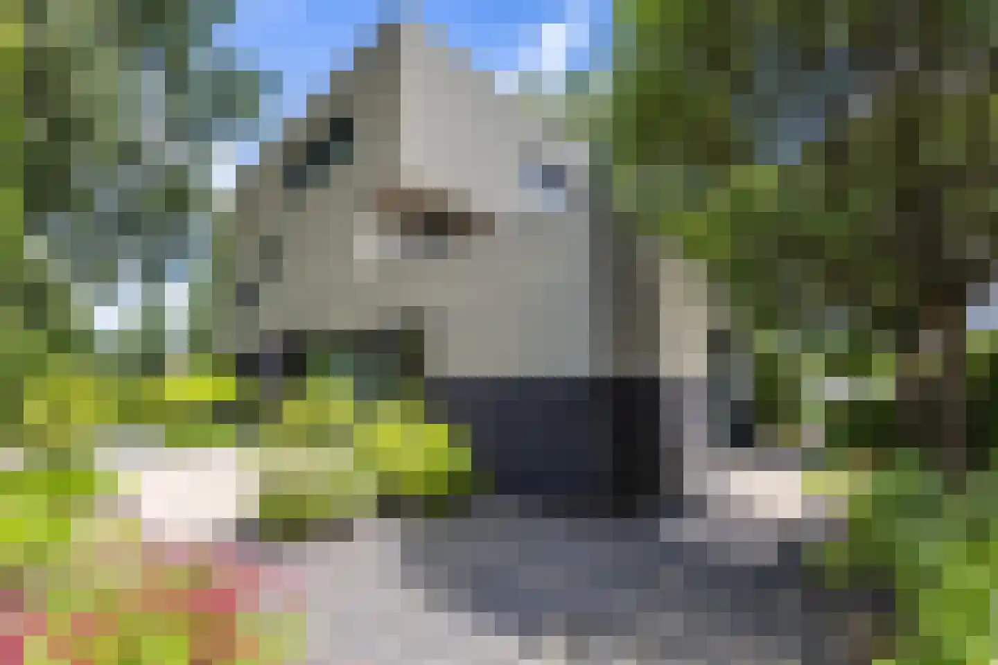 Veenweg 2 Groningen thumbnail 4