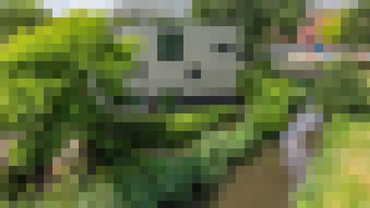 Veenweg 2 Groningen thumbnail 48