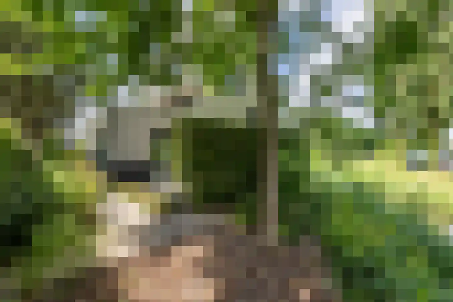 Veenweg 2 Groningen thumbnail 49