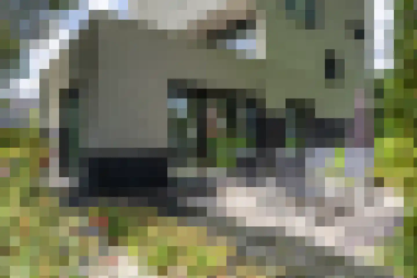 Veenweg 2 Groningen thumbnail 5