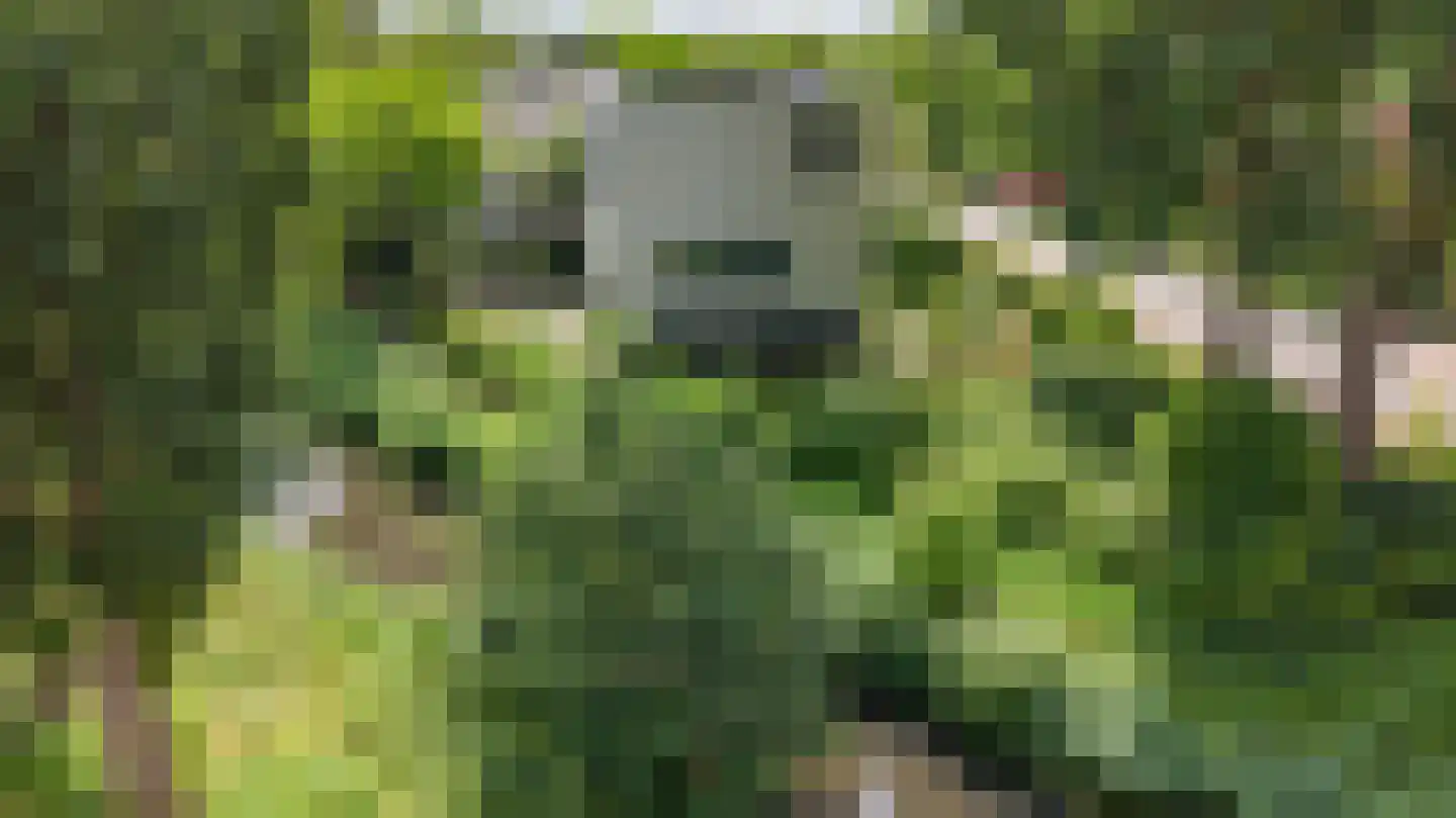 Veenweg 2 Groningen thumbnail 51